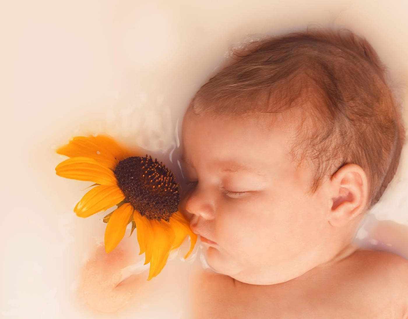 🌼Community Highlight