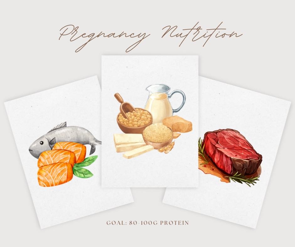 🌸 Protein: A Key Ingredient for a Healthy Pregnancy 🌸