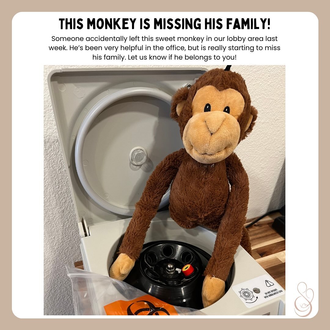 Please help us find this monkey’s home!
